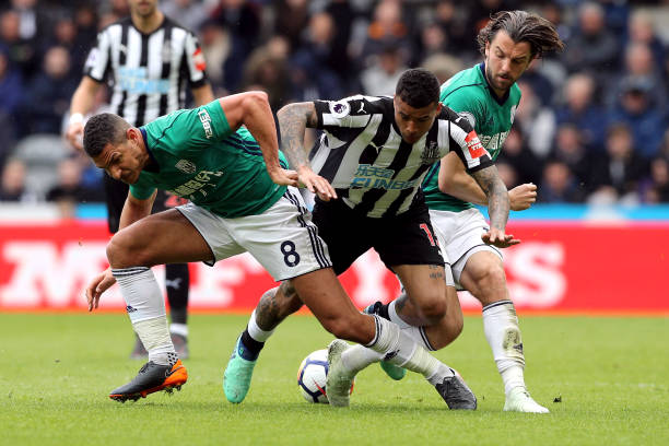 他自称为 他自称为